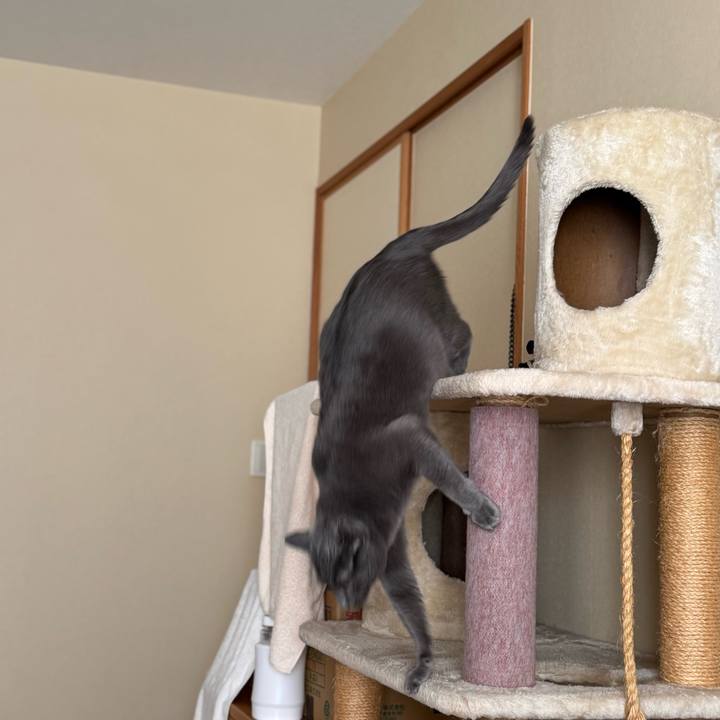 3ea4413c 2fa2 43c0 b3a2 ea77a2bc7d68 1768107641029