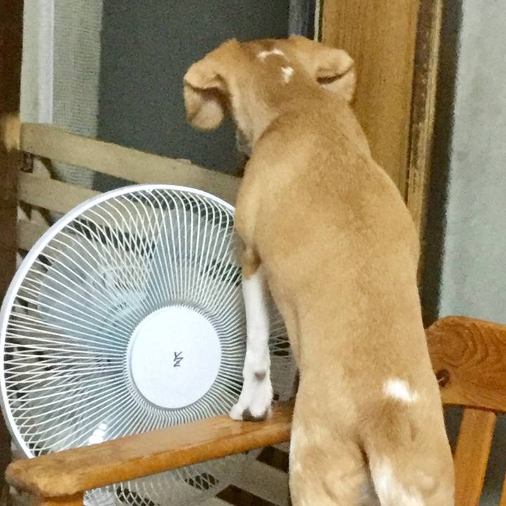 3ea48891 87e1 41f8 8d90 62f22aa1ec12 1567136896055