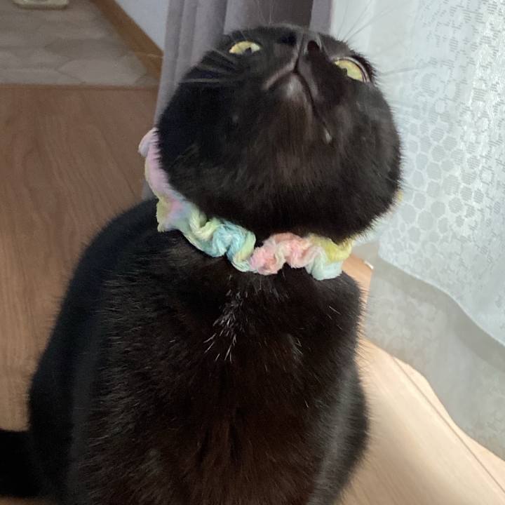 3ea48bfd fa97 48fd 88c9 e198f82b963d 1634114763530