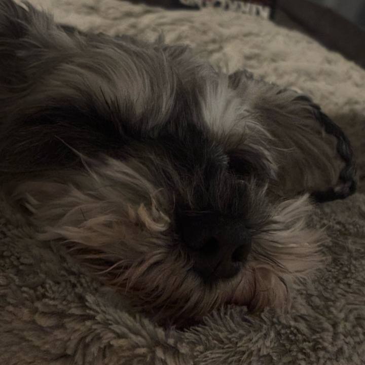 3ea4e9cc 6307 4777 b907 4bb2f4f8511a 1767177602149