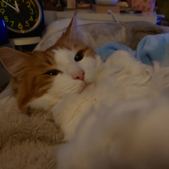 3ea4f3c7 b04e 4705 a3af c30814012ca1 1612883184813