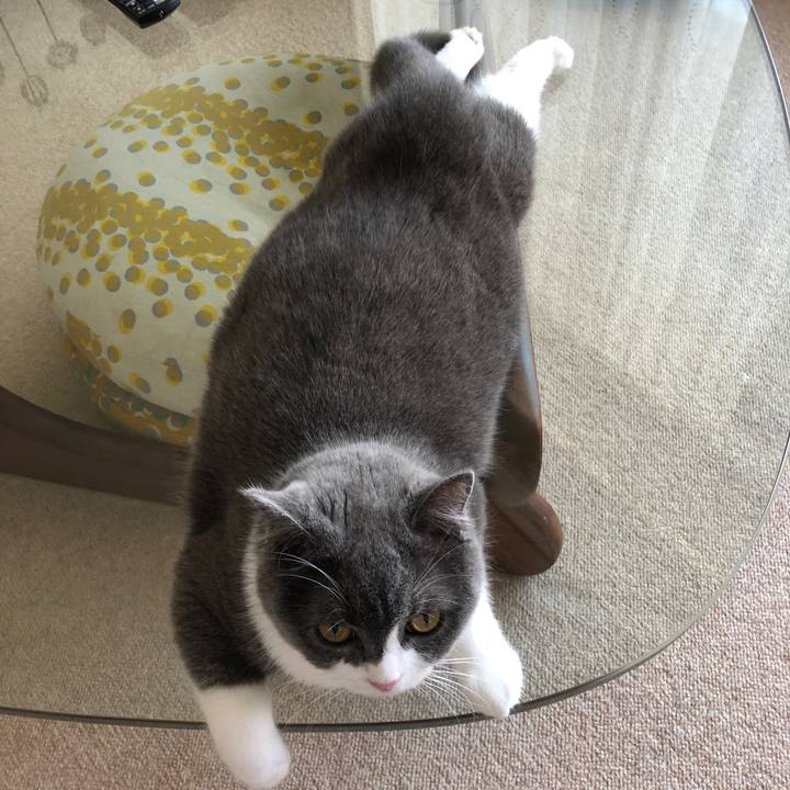 3ea50b17 d294 493c 83a4 ba748ede6be0 1528527007425