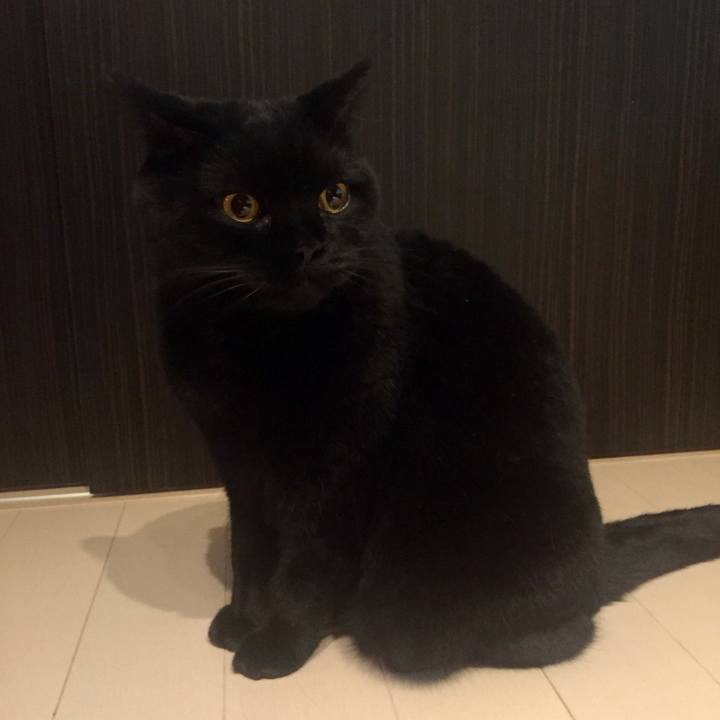 3ea5288a ff82 48c3 acc2 d05d9ba1225b 1571571904668