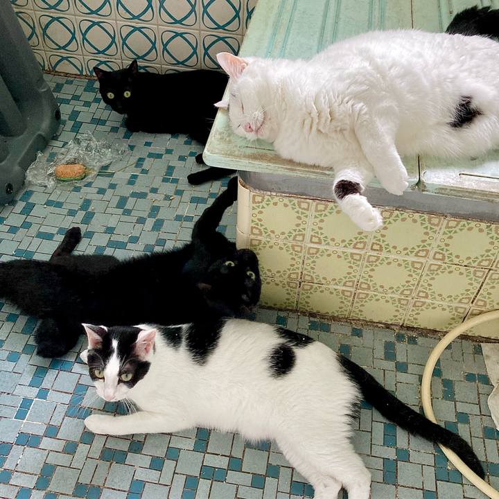 3ea5607e 0aa8 4e8c 8df3 51d3b3d58077 1660716306252