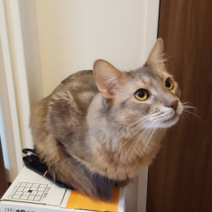 3ea56c8f b958 48c7 8ef6 21139774428b 1578012267343