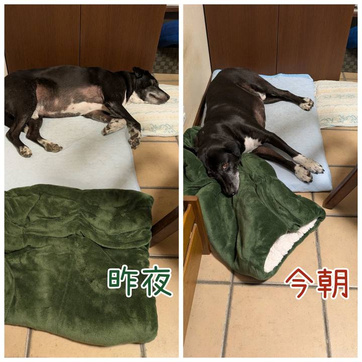 3ea571d1 0680 417d a12a d70c288039a0 1756175170934