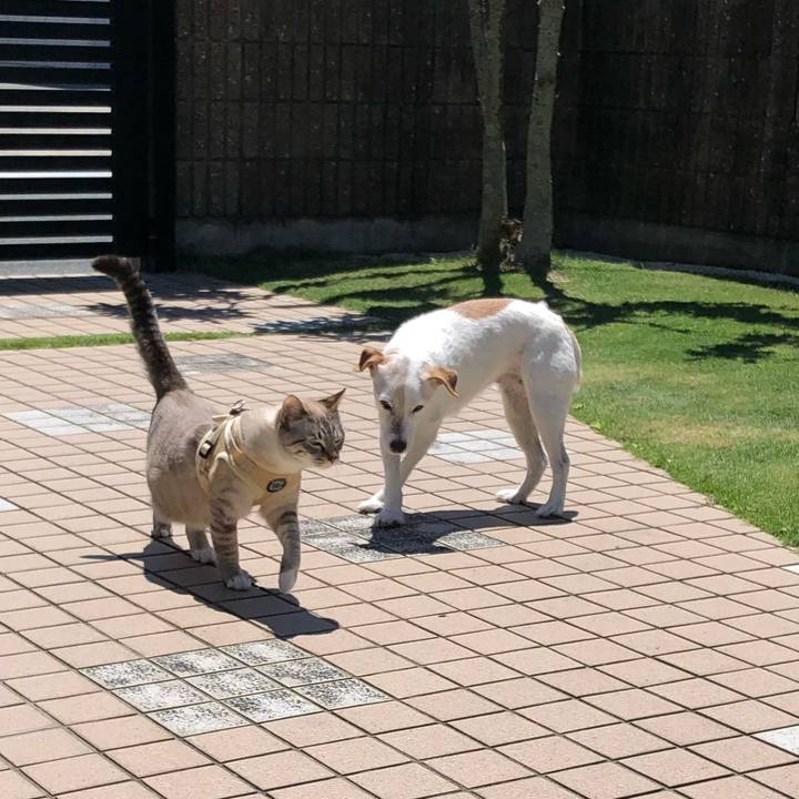 3ea579e5 1f6f 4474 a98a 664010b04eb2 1622185308633