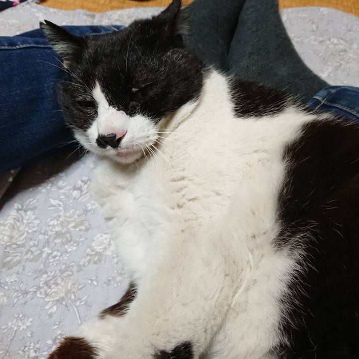 3ea58273 a04a 4e96 a116 a9d654564356 1648733097936