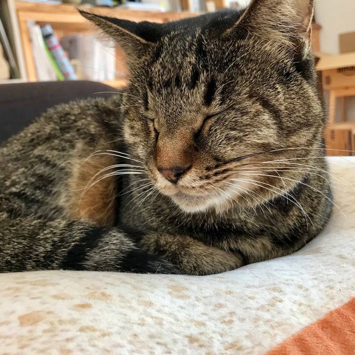 3ea58dbd 7900 4b34 b358 cce1df034253 1542183037452