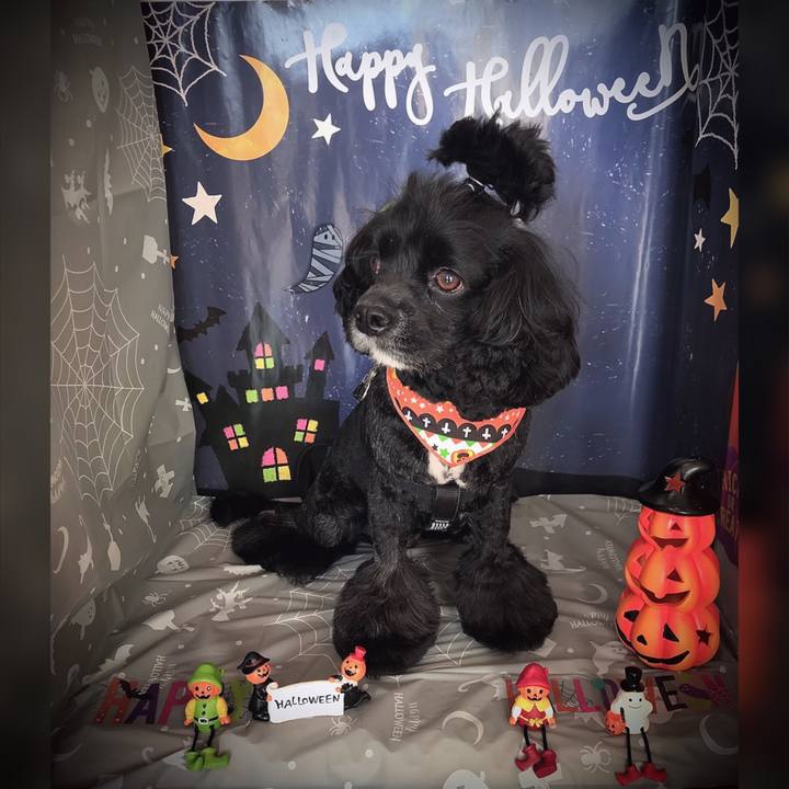 3ea5a6f3 2525 490f a8a9 c9c010d609ab 1572518487401