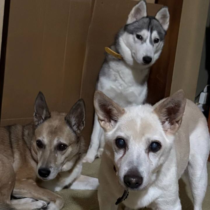 3ea5a7c0 dc68 402f a204 c81996ebed44 1760329585396