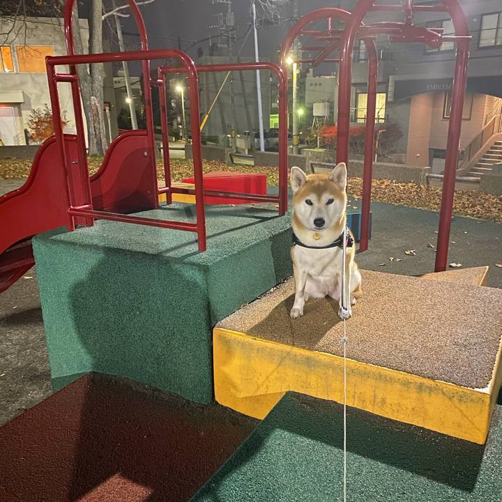 3ea5b69a 3052 4992 a0a4 65eef48eeb65 1604566560357