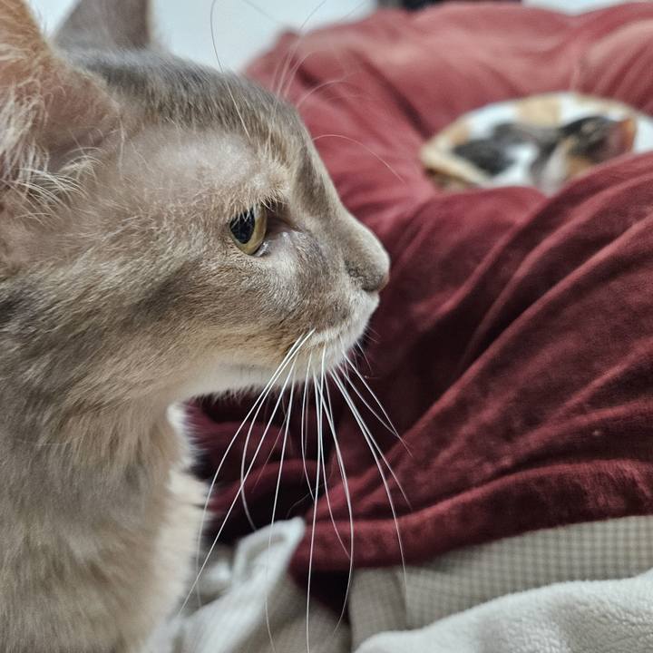 3ea5ba39 6b07 4a8c a8a5 f9254ca82eb6 1766068282331