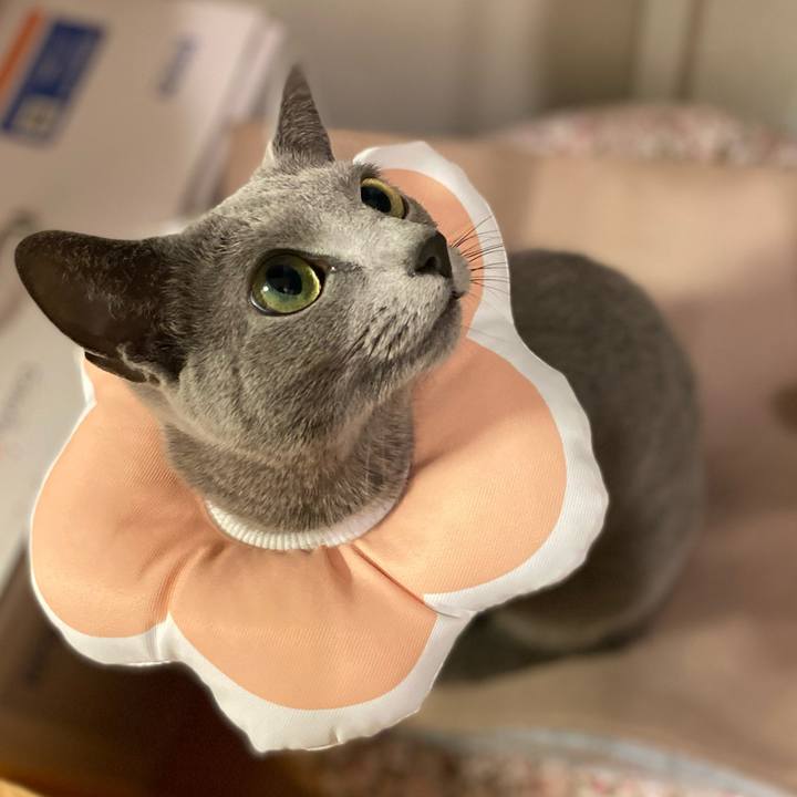 3ea5be81 d053 4659 9caa 0dea8ef53831 1678716442832