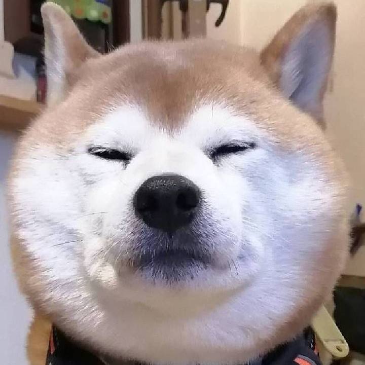 3ea5c33e 73fb 459e 8149 0c37e3d0bb23 1584845845954