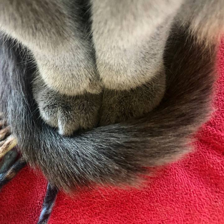 3ea5c9b1 9dca 4096 9ad0 ffbb95109073 1602896412156