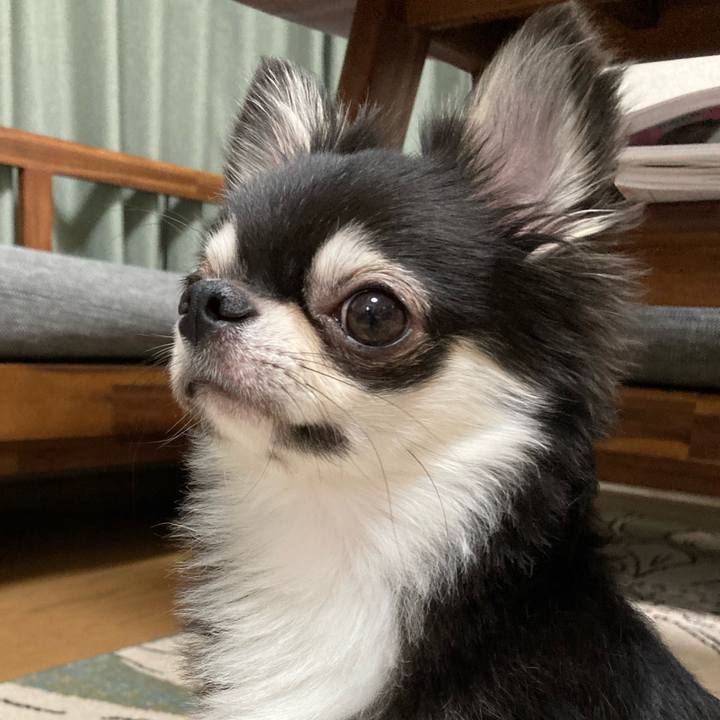 3ea5ee4c 4a2c 45ee afc1 3a14754a4ba5 1628517463849