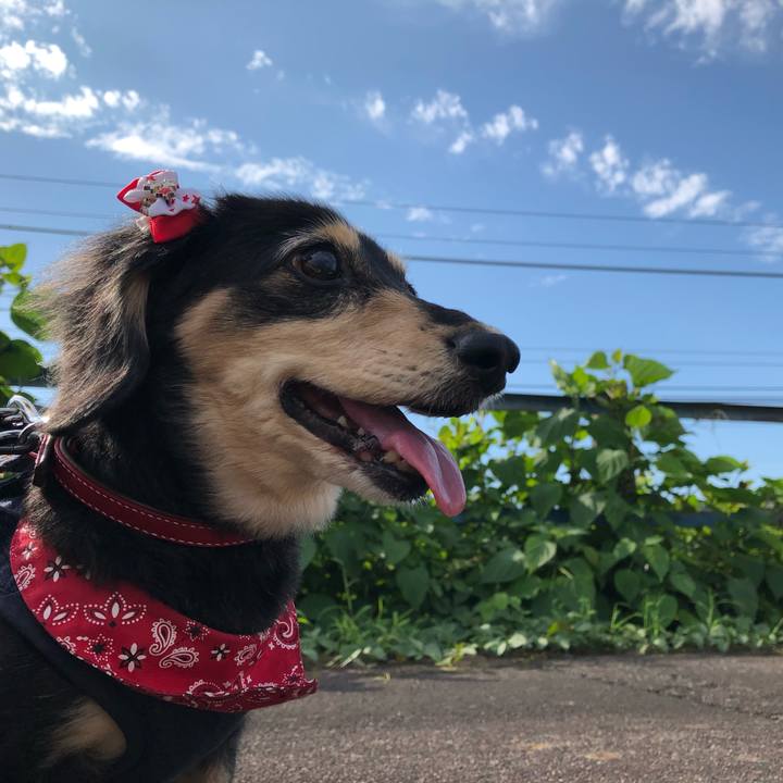 3ea62219 6f3a 4d72 ba01 e5c7482209d9 1632442320127