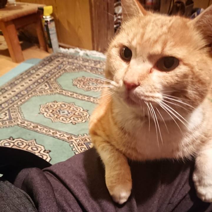 3ea63e7e e820 4f39 94e4 a172dfb136ae 1581584587332