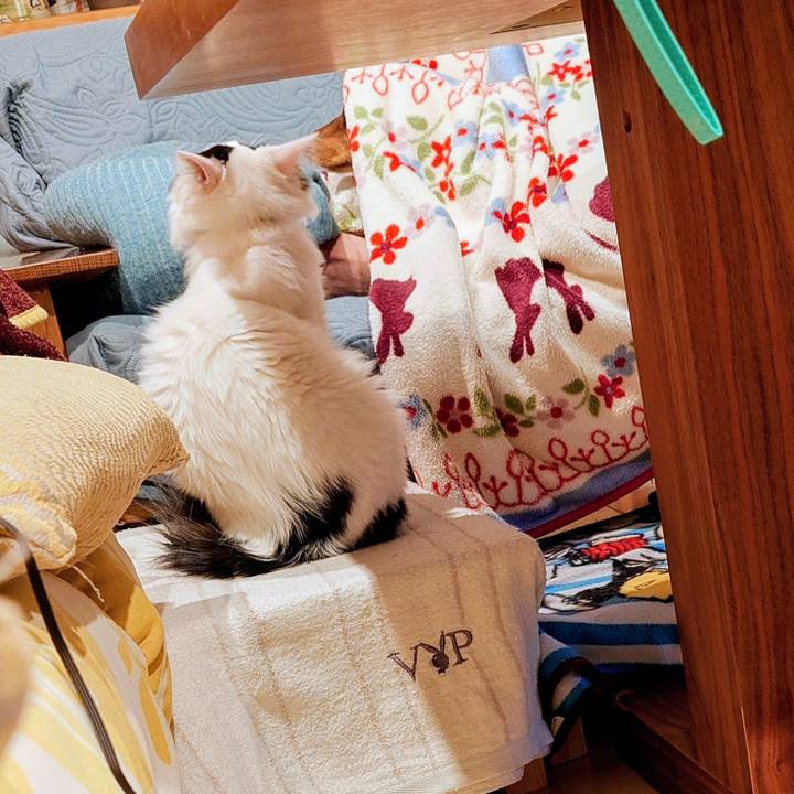 3ea67074 8fc5 453d 91fa 3b4a919dc282 1767093752651