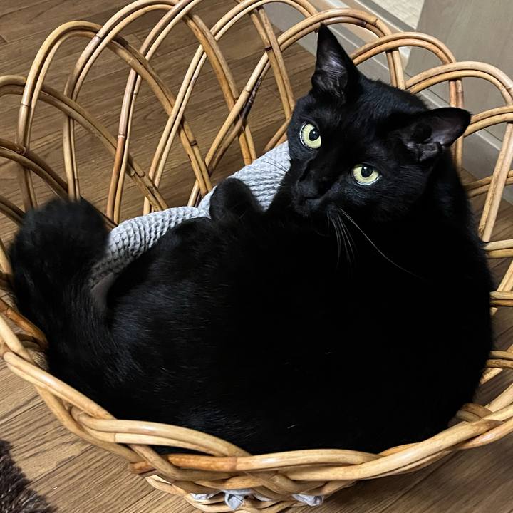 3ea6a9c7 a466 4fa2 a4a3 c087d46c735e 1727092636525