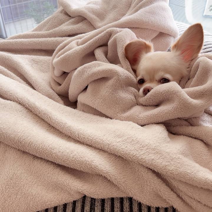 3ea6b6a7 fd54 4c74 8a55 a81e7b96a83d 1734667362264