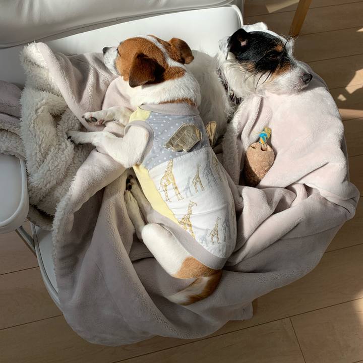 3ea6d7ab 3a1f 45eb 9dcc e42bd0f11f2d 1580698287697