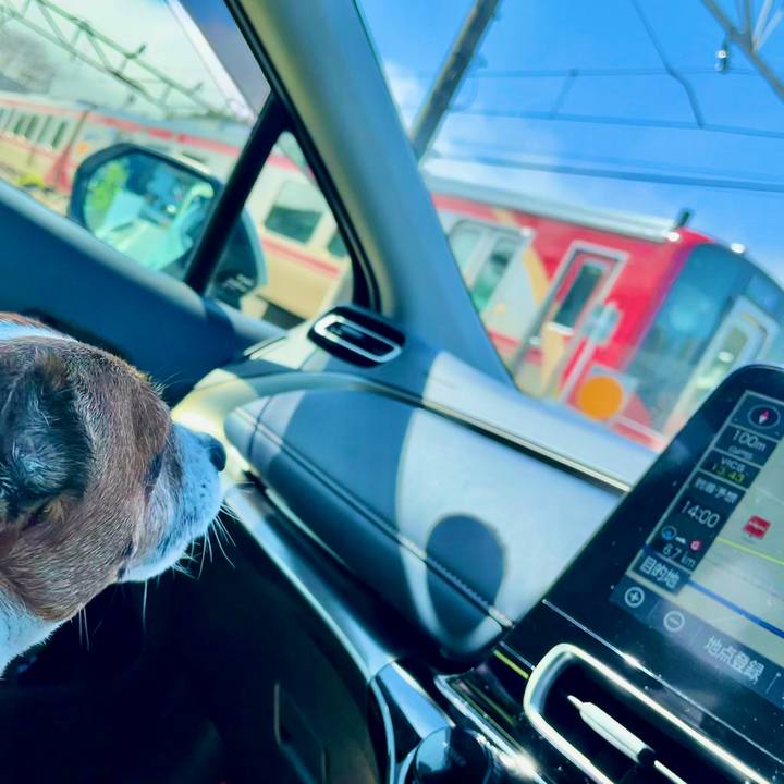 3ea6e045 9a5e 44b9 a8ca 02cbd9bb0525 1745488496645