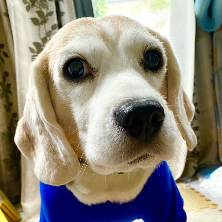 3ea6e491 3cbf 4604 83b9 eea22ebbc13e 1637468109134