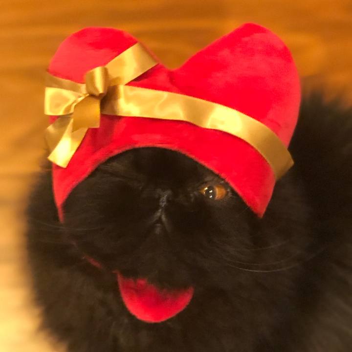 3ea6f516 757e 47bd be49 99c1ff85c38f 1581676209590