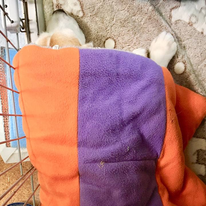 3ea73680 40fc 41c9 b725 8445cd5672b2 1559455896174