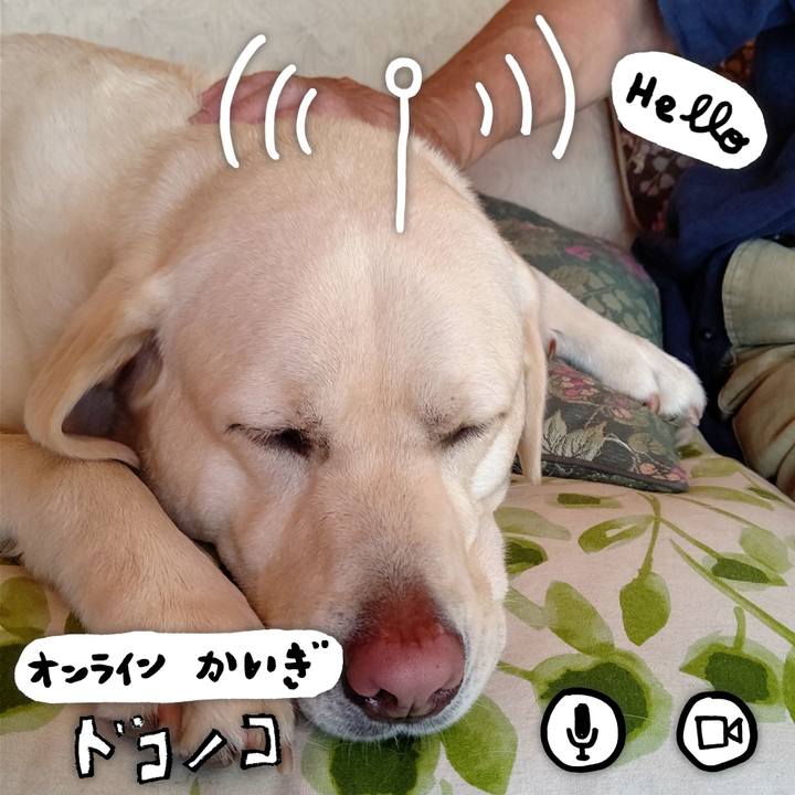 3ea73991 aae5 4858 92c2 c3911fe73933 1590804096937