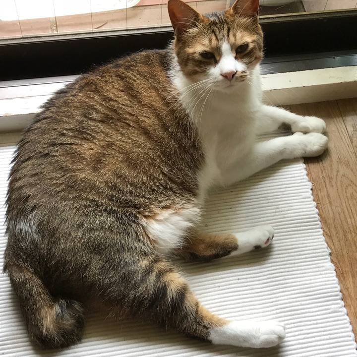 3ea76834 1524 43c5 afce 3a4c6bd491a7 1531556212714