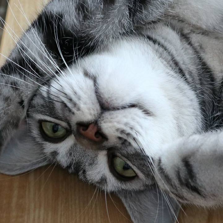 3ea77aa5 9fa4 4b5c bc75 26071e546af4 1592626285878