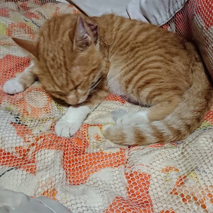 3ea7b43c f939 48ac baf2 70c8cc0f832d 1567083382052