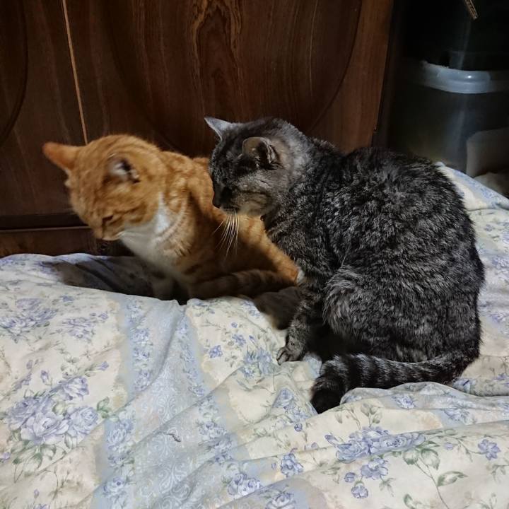 3ea82fcf 7d51 413b b9fc e0b0ff71dc0f 1580300887237