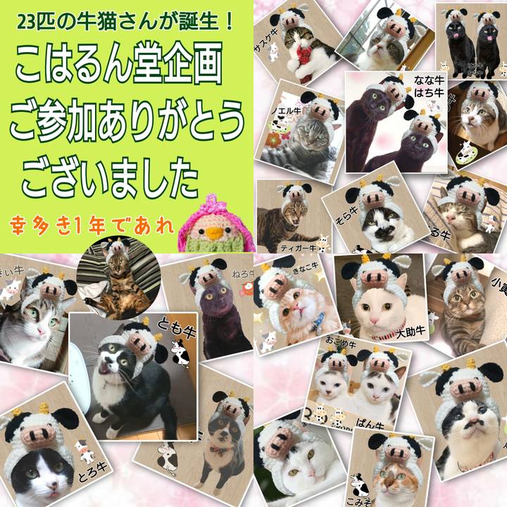 3ea83c06 e965 4623 ba21 da9c5db26562 1609746839938
