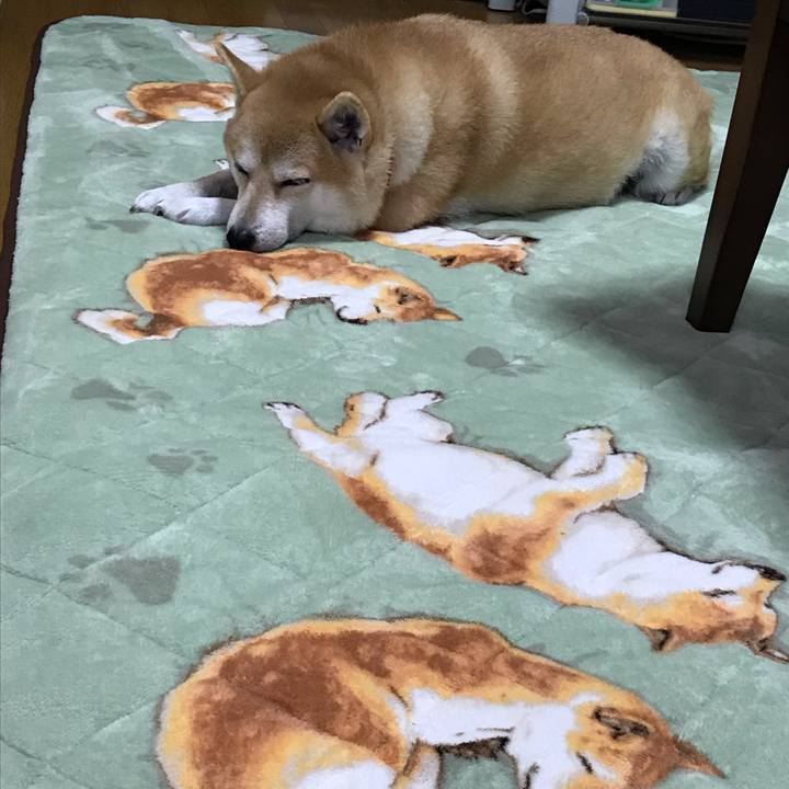 3ea84415 fa33 4544 a01e 32978707c8bc 1541072114299