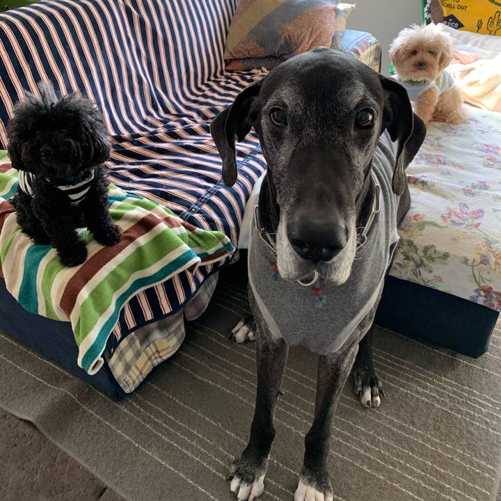 3ea84989 96c1 4b3d bcc4 ebda02f57dc5 1586298926216