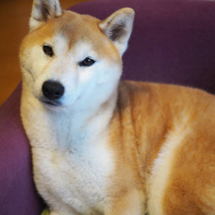 3ea889be ce0d 4eed bee9 12c15e3626d9 1581988996632