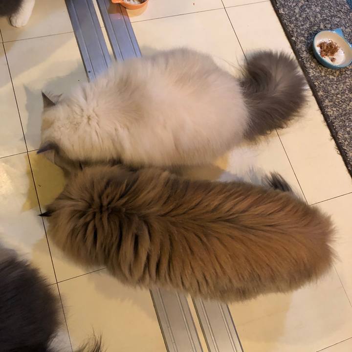 3ea88d51 56ac 4fa8 a048 59cdcc8ae796 1575032222174