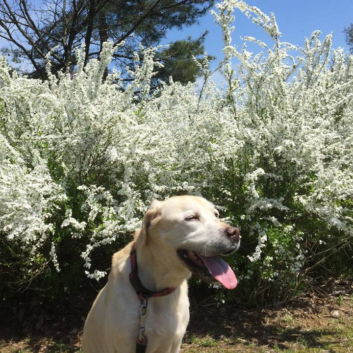 3ea8cff9 6fcc 431c 8f10 6ac576f4be31 1585135755989