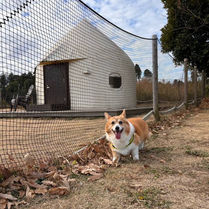 3ea8ef35 fe8d 482e afd4 b15adf943ae4 1765589017105