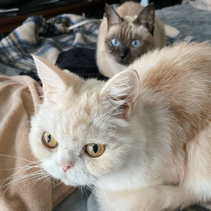 3ea90a6f d1fc 4d52 8541 53003e3420d3 1763176981525