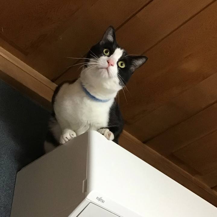 3ea914c6 5f78 4da5 aafe da3d8e743932 1679486398014