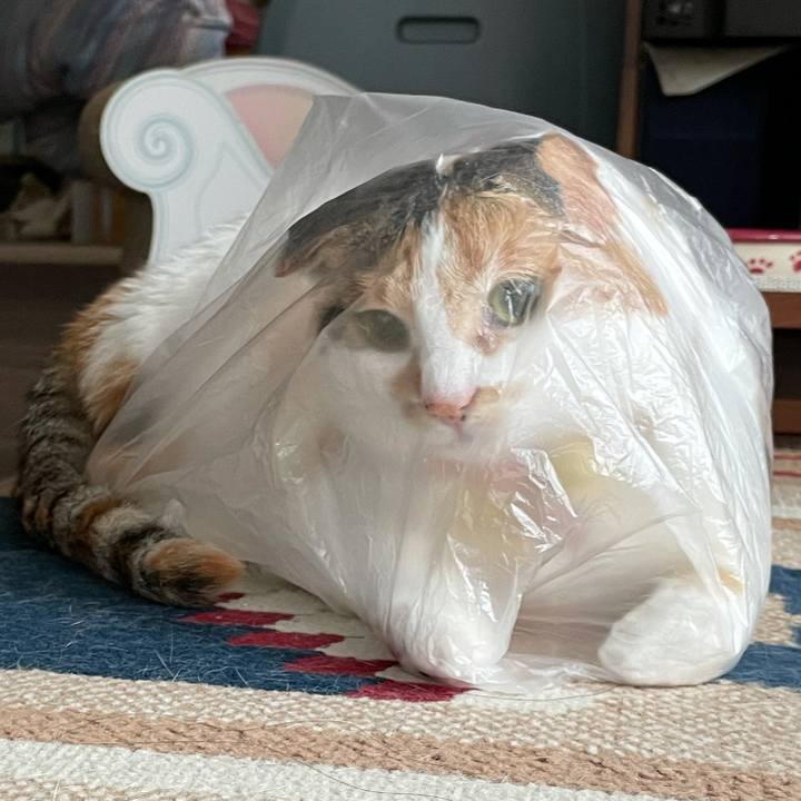 3ea938e5 91ea 4743 9b7c 350390ac14f6 1625700808640