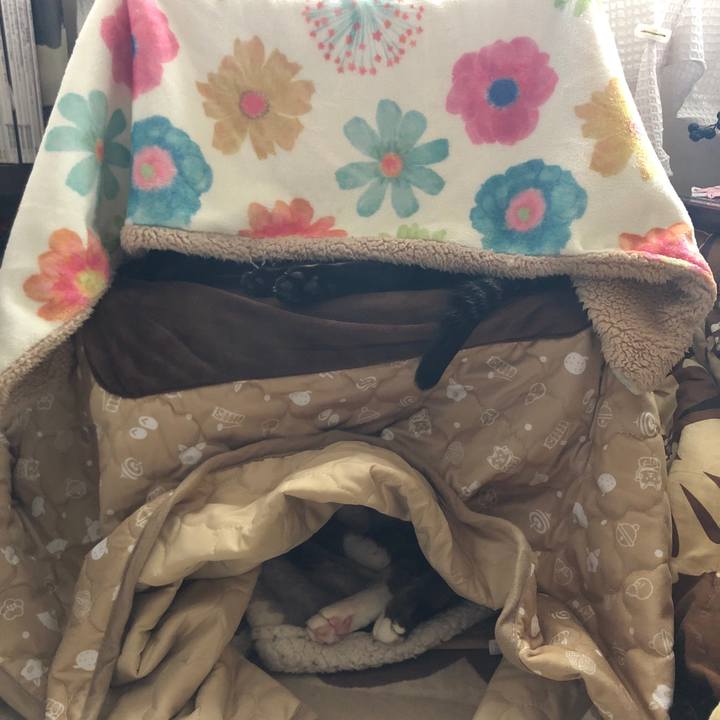 3ea9a7fd 6f75 4035 b76f 3acea9e13892 1612586891936