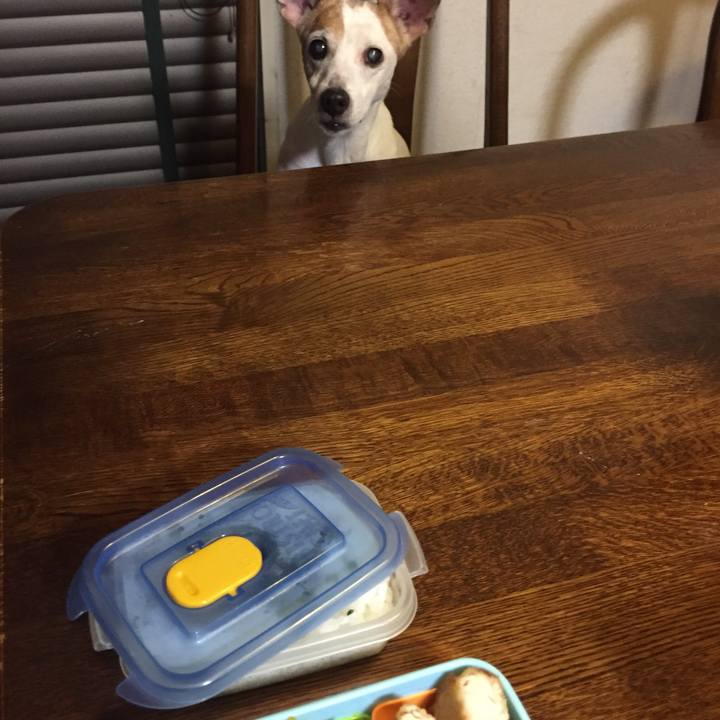 3ea9b3b7 7063 456d 9ebc 33ae8dd8b919 1535344020345