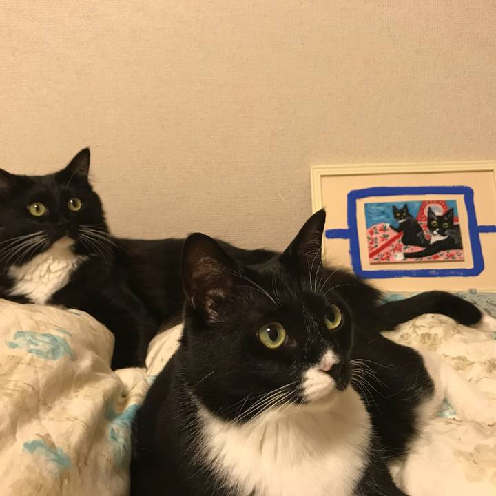 3ea9f592 4324 4238 b46f 80b02a2c6fd1 1527637001343