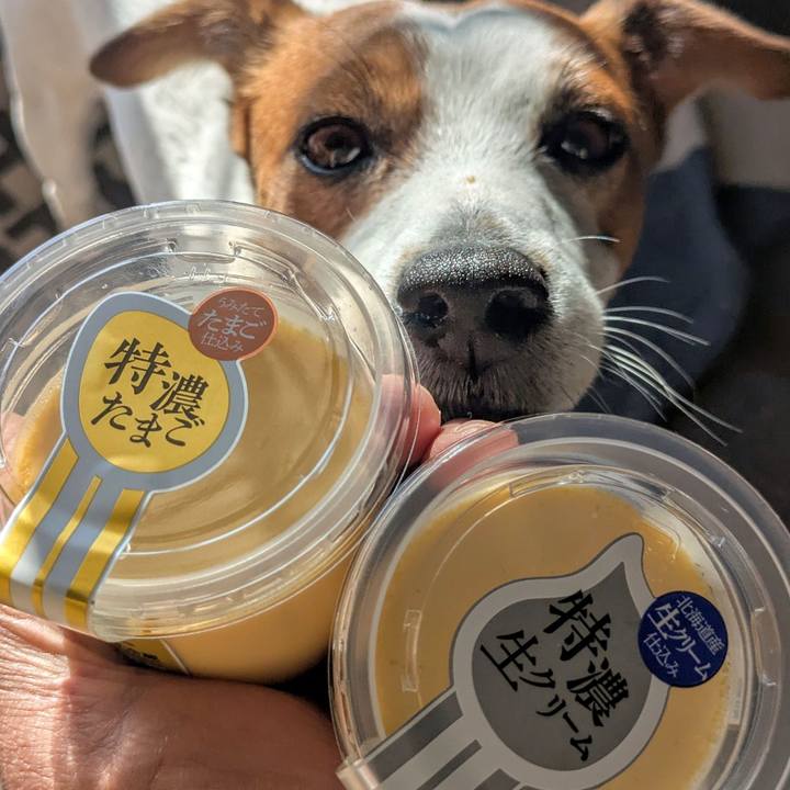 3ea9fd69 4d64 4097 b0e3 eb0c03485fb4 1765970654971